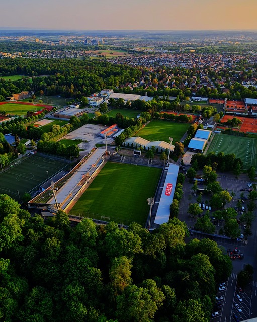 从红军利物 从红军利物