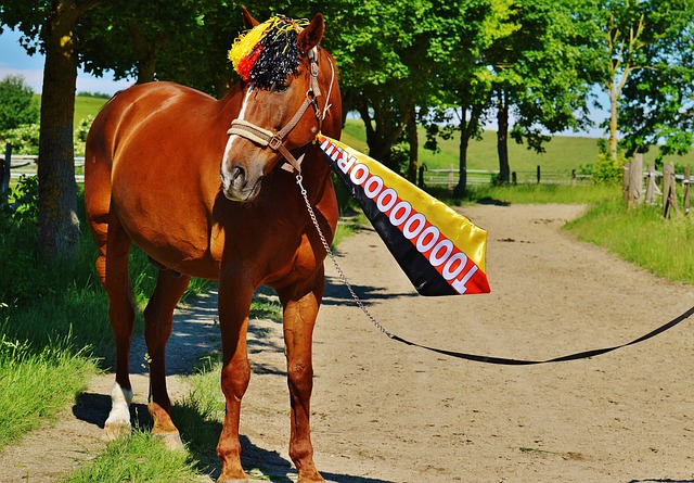 拍回合中的 拍回合中的