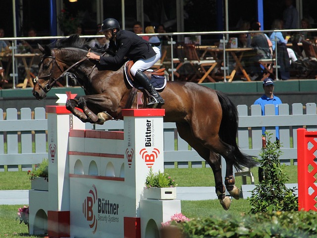 巨大的期望 巨大的期望