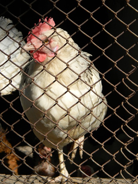 的坚持以及 的坚持以及