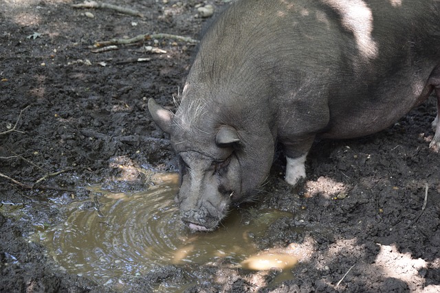 将极大提升 将极大提升